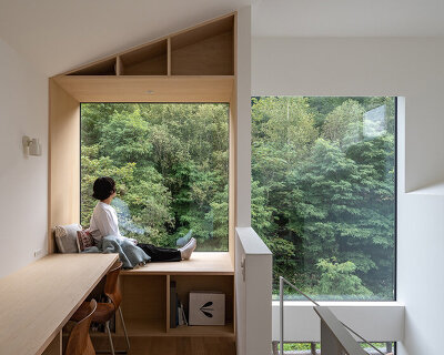 split-level timber house organizes layered interiors around japanese forest landscape