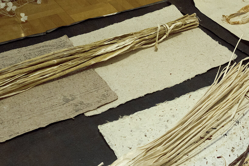 Kozo used for Inshu Washi | image by Kenta Yoshizawa