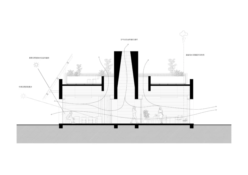 section