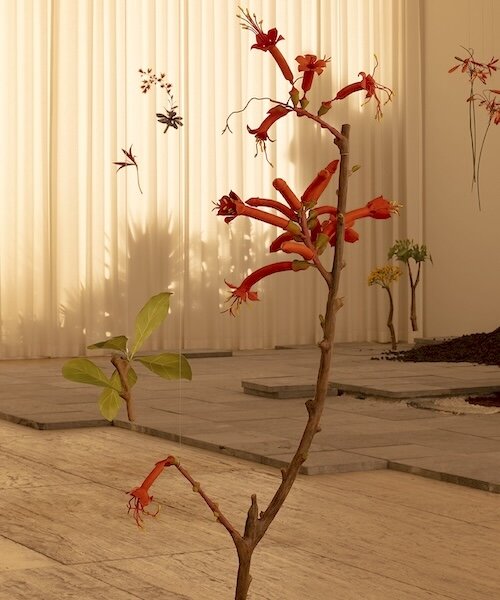 álvaro urbano brings casa cueva’s botanical memories to life at museo jumex in mexico city