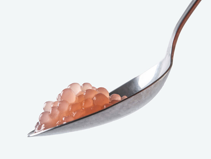 pink SCOBY pearls explore the potential of microbial cellulose as an edible ingredient