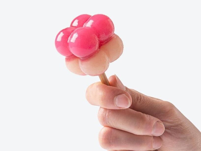 a double-flavor SCOBY popsicle has a texture similar to blended aloe vera