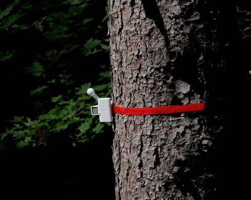 tree-mounted machines connect to web app to let users knock on wood remotely