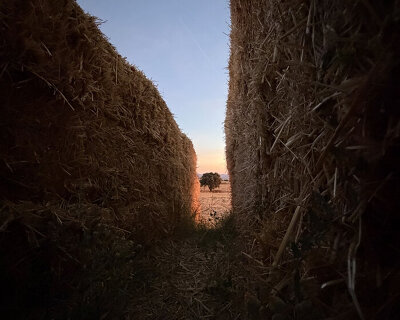 straw walls shape amphitheater, experimental garden and walking path in rural spain