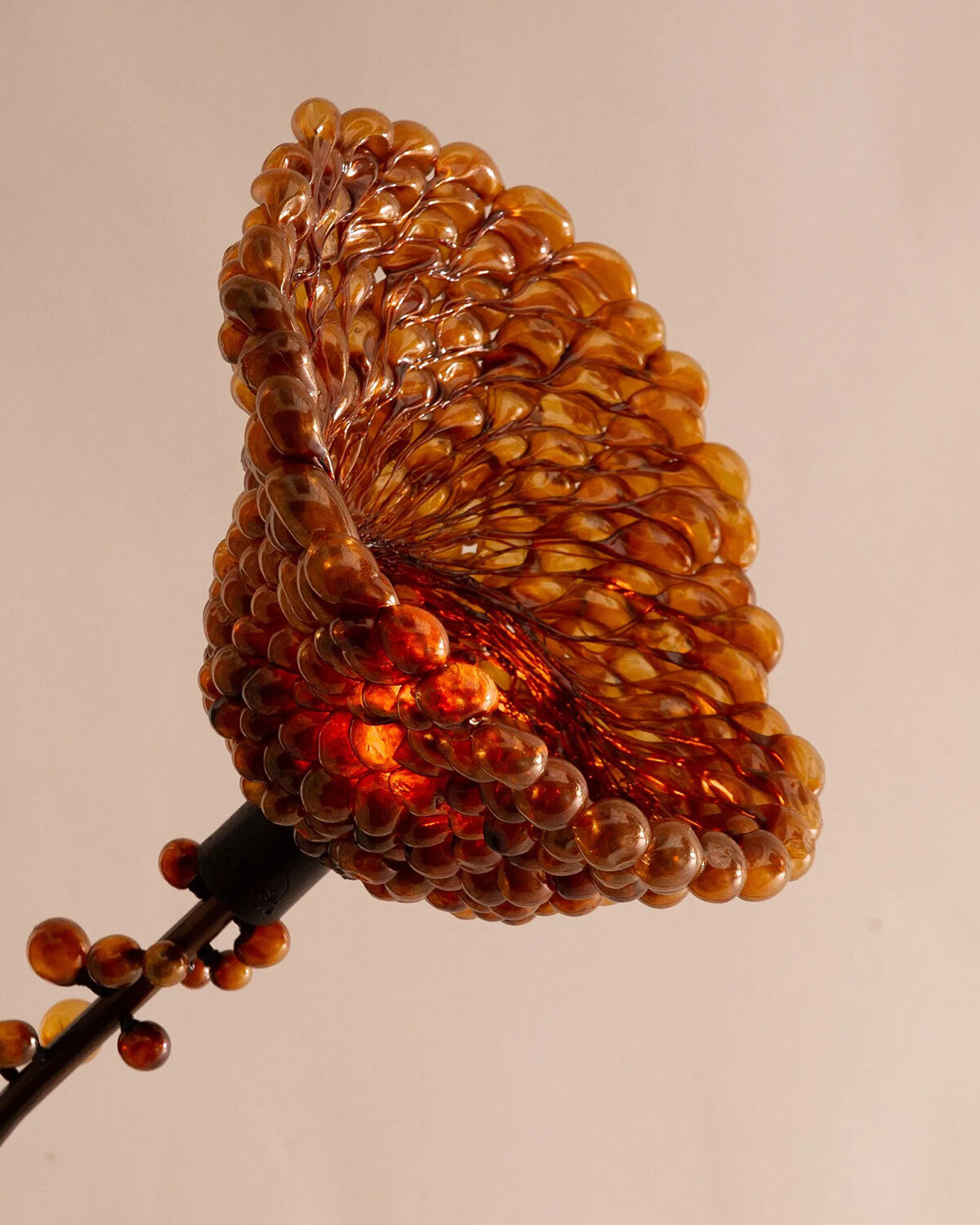 Ori Orisun Merhav, Branching Insects Chandelier, 2024