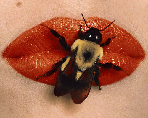 Maison Européenne de la Photographie Opens Irving Penn Retrospective