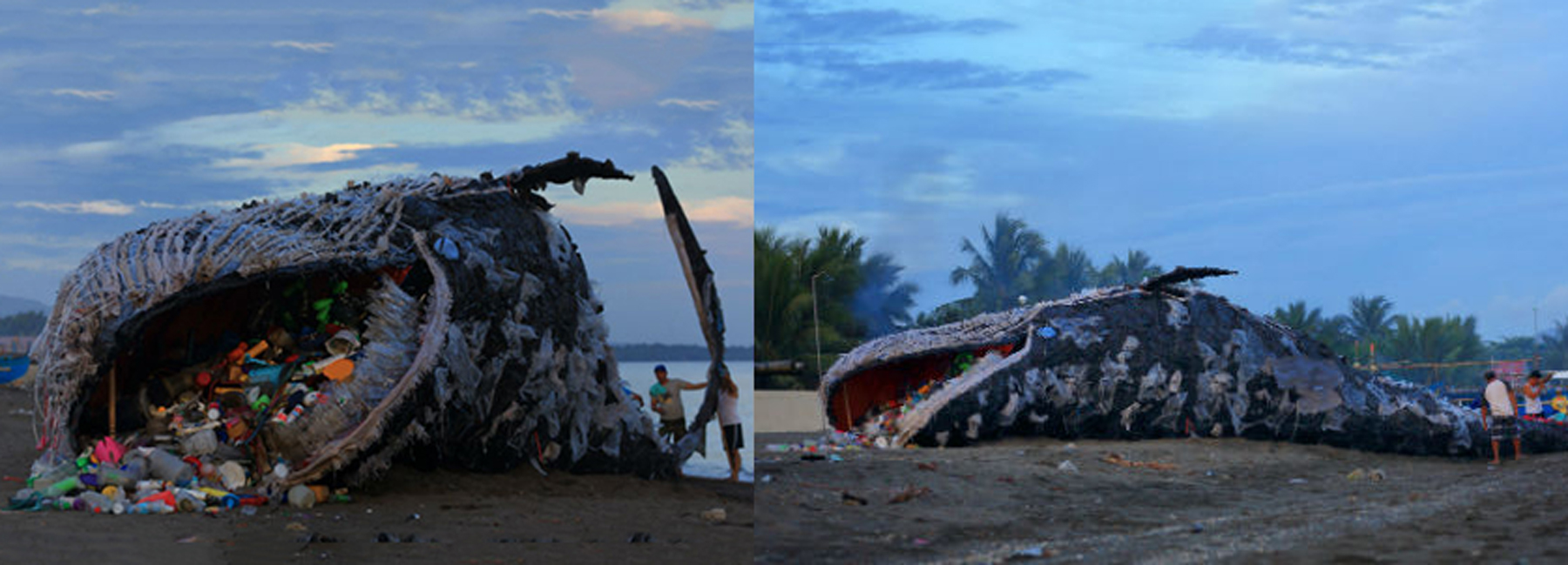 plastic pollution kills another whale after digesting 64 pounds of trash